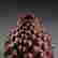 item-49177717=2