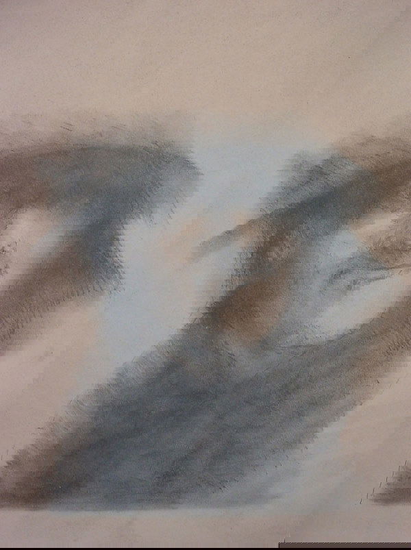 5E: Odilon Redon style Symbolist Portrait signed & titl: Odilon Redon style Symbolist Portrait signed & titled yet illegible. The edition seems to be 8/15. In good as found condition although the paper has yellowed. Unframed. 19th/20th c. 17"h x 13 1/4"w