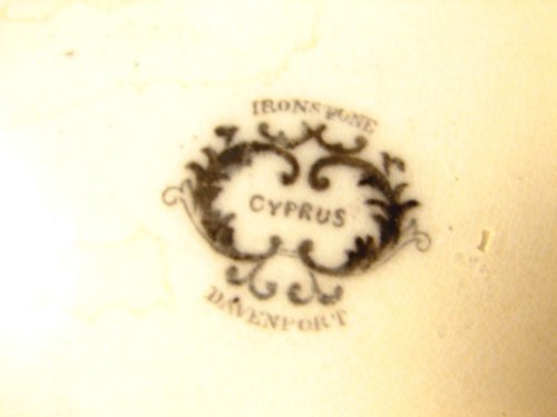 Davenport Antique Ironstone Cyprus Pattern Coffee - 5