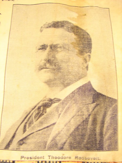 Theodore Roosevelt Campaign Flag with Portrait an - 3