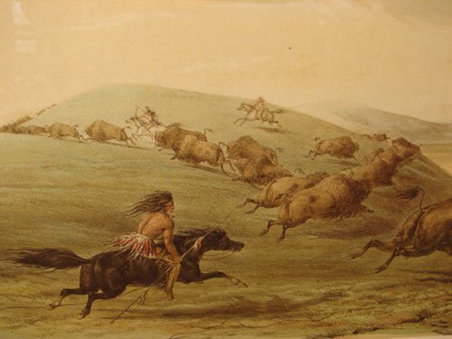 Catlin, North American Indian Series " Buffaloe H - 3