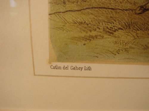 Catlin, North American Indian Series " Buffaloe H - 7