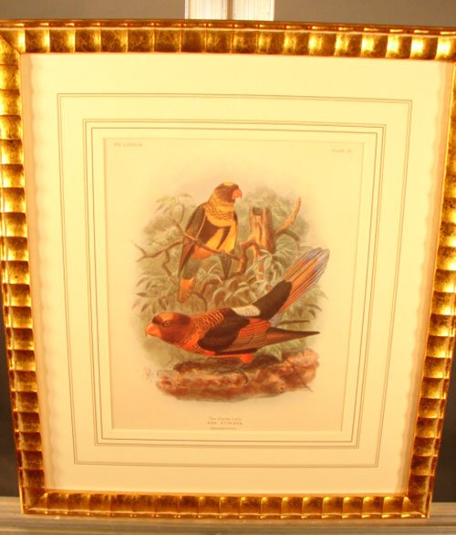 Keulemans Hand Colored Lithograph Print of Birds - 2