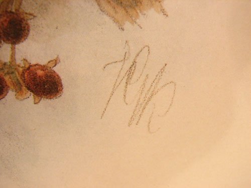 Keulemans Hand Colored Lithograph Print of Birds  - 6