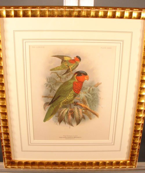 Keulemans Hand Colored Lithograph Print of Birds - 2