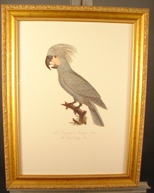 Beautiful Colored Lithograph Print after original - 2