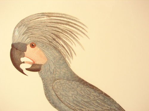 Beautiful Colored Lithograph Print after original - 3