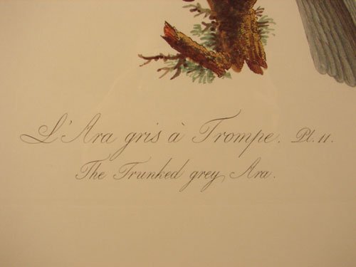 Beautiful Colored Lithograph Print after original - 5