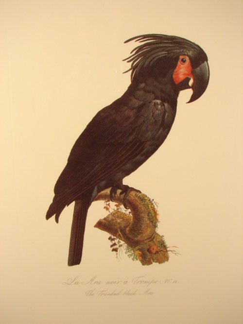 Beautiful Colored Lithograph Print after original
