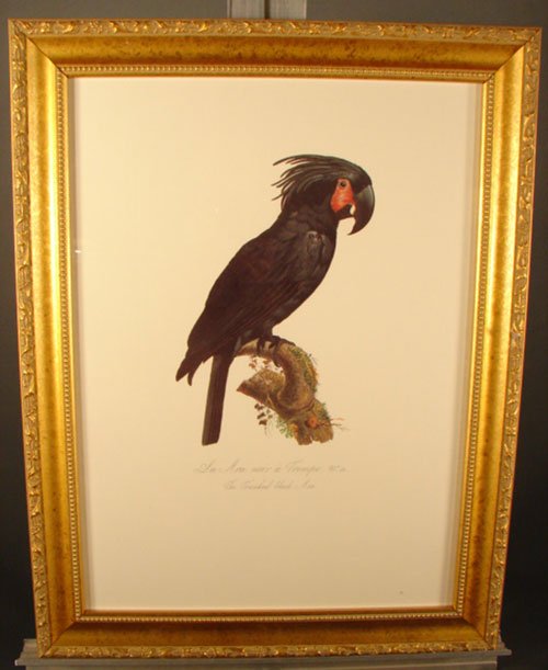 Beautiful Colored Lithograph Print after original - 2