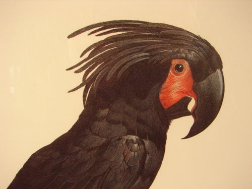 Beautiful Colored Lithograph Print after original - 3