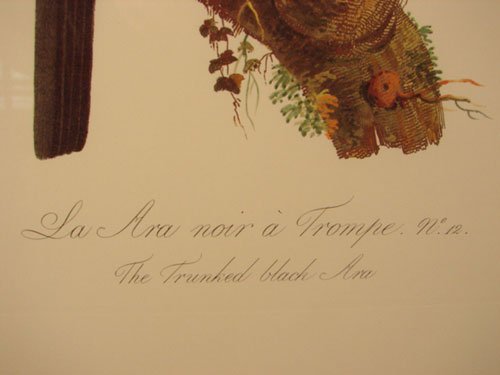 Beautiful Colored Lithograph Print after original - 4