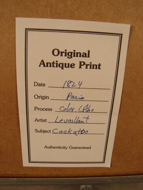 Beautiful Colored Lithograph Print after original - 6