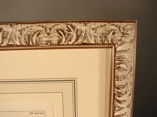 Antique Botanical Print. French, 18th / 19th cent - 5