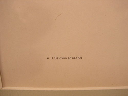 Julius Bien & A.H. Baldwin Hand Colored Print tit - 4