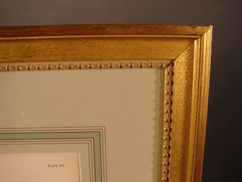 Julius Bien & A.H. Baldwin Hand Colored Print tit - 6