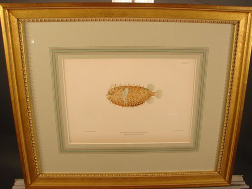 Julius Bien & A.H. Baldwin Hand Colored Print tit - 2