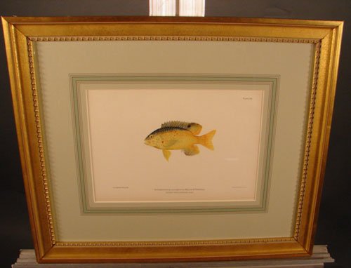 Julius Bien & A.H. Baldwin Hand Colored Print tit - 2
