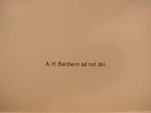 Julius Bien & A.H. Baldwin Hand Colored Print tit - 4