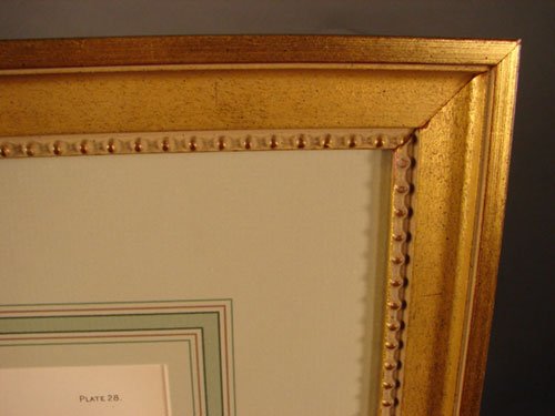 Julius Bien & A.H. Baldwin Hand Colored Print tit - 6