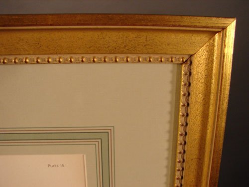 Julius Bien & A.H. Baldwin Hand Colored Print tit - 6
