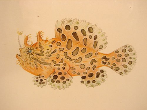 Julius Bien & A.H. Baldwin Hand Colored Print tit