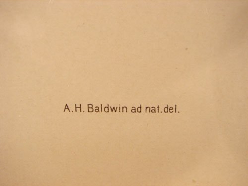 Julius Bien & A.H. Baldwin Hand Colored Print tit - 4