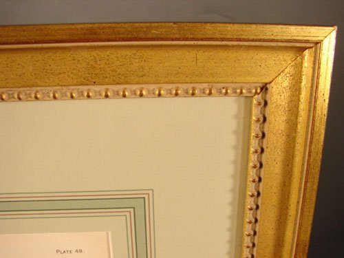 Julius Bien & A.H. Baldwin Hand Colored Print tit - 6