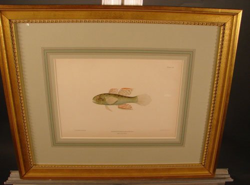 Julius Bien & A.H. Baldwin Hand Colored Print tit - 2
