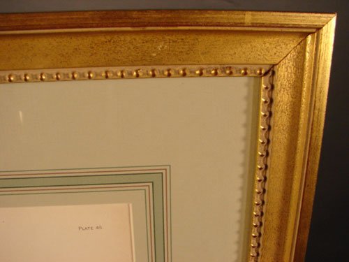 Julius Bien & A.H. Baldwin Hand Colored Print tit - 6