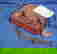 item-676193=3