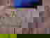 item-676195=4