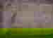 item-676196=5