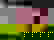 item-676518=4