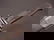 1734: "Carl Eickhorn" WWII U.S. Military Bayonet with s