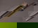 1734: "Carl Eickhorn" WWII U.S. Military Bayonet with s - 2