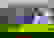 item-702898=3