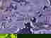 item-702899=2