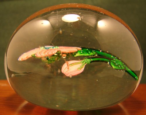 Antique Paperweight with Lampwork Flower and polish - 2