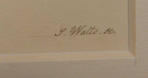 S. Edwards Hand Colored Floral Botanical Print - 5