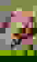 item-862633=6