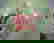 item-862634=4