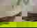 item-862634=5
