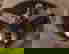 item-868727=6