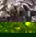 item-875802=2