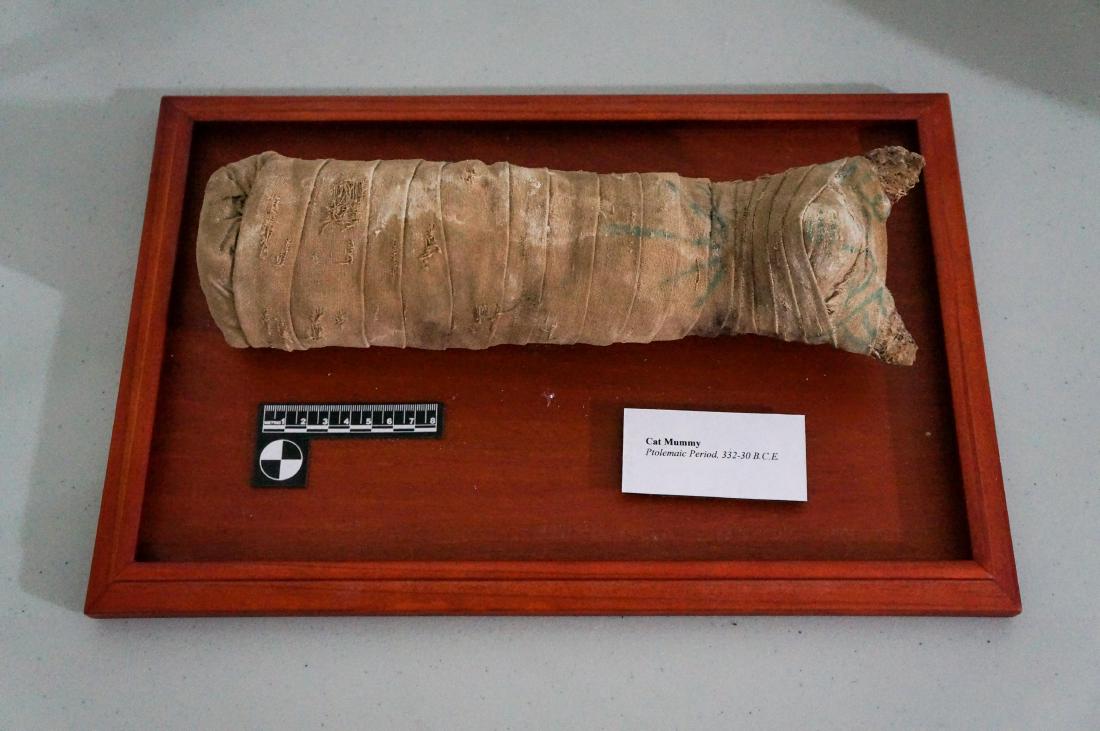 ANCIENT EGYPTIAN PTOLEMAIC PERIOD CAT MUMMY: Circa 300- 30 BC,The figure decorated with green patterns and housed within a wood, glass and mirrored display case as seen in photos. Provenance: NY Private collection. mummy cat length: 11.5in, box: