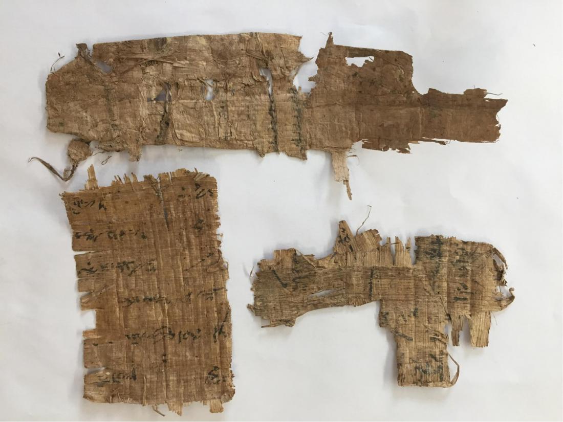 ANCIENT EGYPTIAN PAPYRUS FRAGMENTSÂ : Ancient Egyptian Papyrus Fragments.