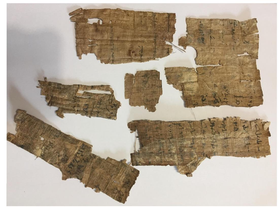 ANCIENT EGYPTIAN PAPYRUS FRAGMENTS: 4th century BC-4th century AD. Size : 15 cm - 5 cm, approximately. Ex private NY collection.