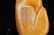 Chinese Tenglong Tuzhutian Yellow Ornaments - 9