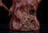 Chinese Jiang Rong's Bionic Tree Root And Plum Pattern - 14